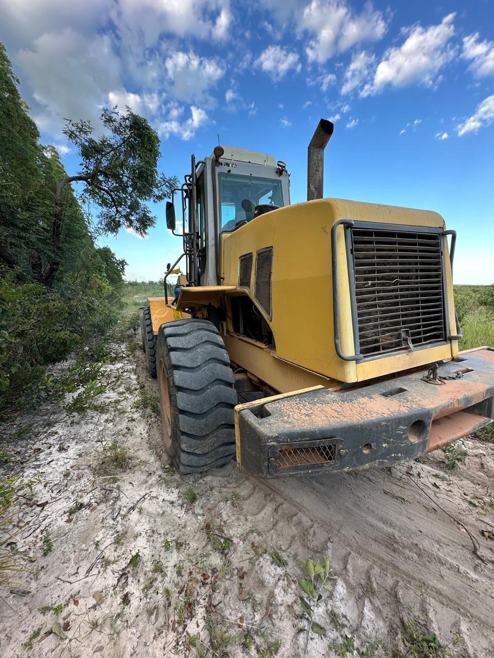 NEW HOLLAND W160 – ANO 2007 - Imagem 3